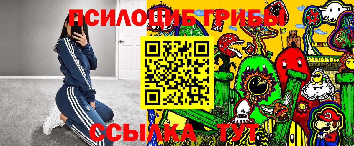 Киров  Галлюциногенные грибы прущие грибы  Псилоцибиновые грибы прущие грибы  Вход с VPN 